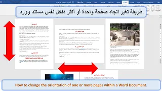 كيفية تغيير اتجاه صفحة واحدة أو أكثر  سواء كانت متتالية أو منفصلة    داخل مستند وورد       دندنها
