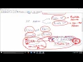 Loop Avoidance Nanda OpenVPN Server