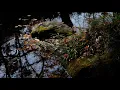 Elgar : Piano Quintet in A minor