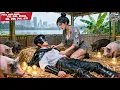 Download Lagu Gadis Miskin Selamatkan Pria Sekarat Di Jalan, Tak Tahu Dia Pangeran Dunia Bawah Ia Langsung Melamar