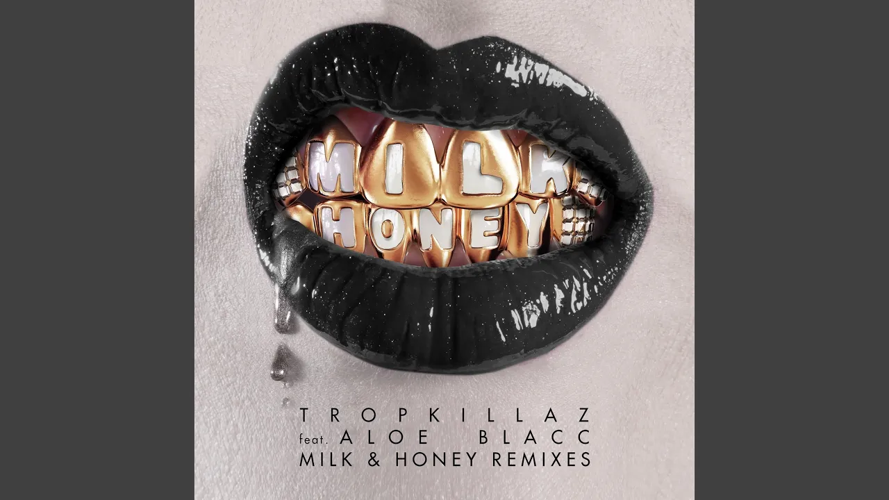 Milk & Honey (Sylvain Armand Remix)