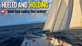 “Defying The Doubters” Punching Our Cat Upwind!