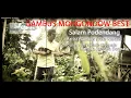 Lagu Pantung Salam podendang -   tete nuriani (Original Gambus dana-dana)