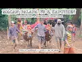 Download Lagu MACAN PALAPA \u0026 KAPOTREN_S || FULL 2 ABERAN || LGPI