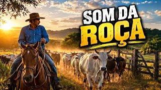 Se você Ama Moda de Viola, Esse Vídeo é Pra você | Sertanejo Raiz/Viola Caipira