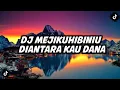 Download Lagu DJ MEJIKUHIBINIU DIANTARA KAU DANA X MELODI FULL BASS || IKSAN FVNKY RMX
