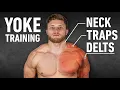 YOKED The Ultimate Trap Neck and Delt Workout Science-Based