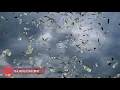 Subliminal Positive Affirmations for Success, Money, Abundance | LOA Advanced Deep Sleep Programming