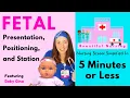 Fetal Positions Presentation Station Explained in 5 Minutes or Less