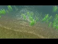 AQUAS 2020 Tutorial - Making Shoreline Effects