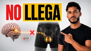 ¿Testosterona baja? La forma correcta de comprobarlo