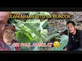 Download Lagu GANITO ANG ULAM NAMIN DITO SA BUNDOK #pugongbyahero #pbteamdavao #katutubo