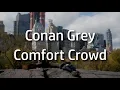 Conan Gray Comfort Crowd