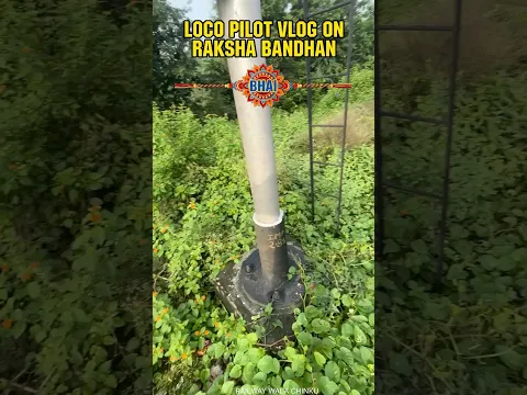 Job vlog on Rakshabandhan