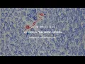 So Soo Bin 소수빈 - Let's Love Lyrics [Han|Rom|Eng]