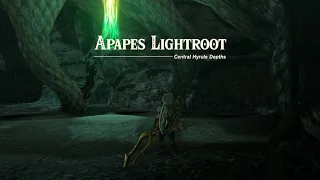 Tears of the Kingdom - Apapes Lightroot Location FASTEST WAY