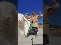 Download Lagu white Yak #himalayan #tibetan #tibet