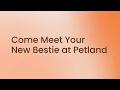 Tails Are Wagging at Petland Dalton