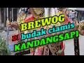 Download Lagu BUDAK CIAMIS BREWOG KARNAVAL KANDANGSAPI