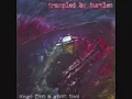 Trampled by Turtles - ain't no use in tryin