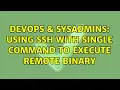 DevOps SysAdmins Using ssh with single command to execute remote binary