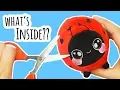 Cutting Open a Squeezamal What s Inside