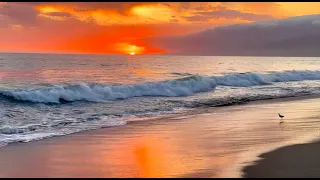 Coastal Sunset Tranquility 12Hours Calming Wave Sounds For Relaxation Meditation Deep Sleeping 