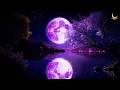 Download Lagu In Slaap Vallen In Minder Dan 3 Minuten • Tot Ziens Slapeloosheid, Verlichting Van Stress En Angst