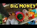Look For These Valuable Plush to Sell on EBAY