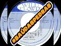 Download Lagu (WILD FLOWER 🇯🇲 1973) + ERNIE SMITH 🇯🇲 REBEL MUSIC