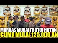 Download Lagu TURUN HARGA ! MURAI TROTOL HUTAN PALING DICARI !!! SEMUA DIJUAL MULAI 125.000 AN DIKIOS PRAMUKA
