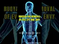 Download Lagu ruqyah for evil eye and envy | ruqyah removal of evil eye envy | Ruqyah Treatment - Evil Eye (Ayn)