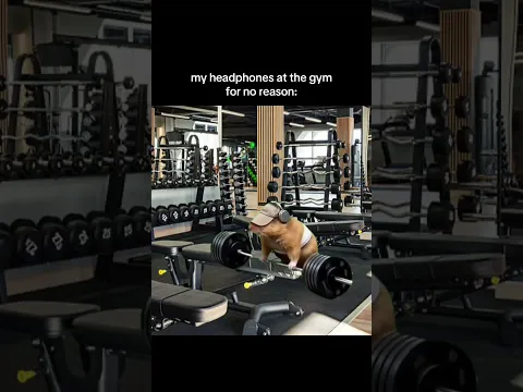 The ultimate gym tune #shorts #meme #wrapmeinplastic
