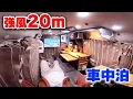 台風級の強風20m海岸車中泊 | 軽自動車に娯楽詰め込んだ軽キャンピングカー仕様