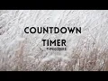 Countdown Timer using JavaScript DAY2 100 Day - 100 Code Challenge HTML CSS