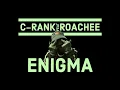 Enigma
