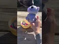 Adopt Me Surprise Plush Pet Egg Unboxing
