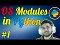 View Current Working Directory in Python OS Module