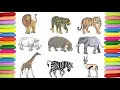 Wild Animals Coloring Pages Lion Tiger Elephant Giraffe More Satisfying Markers