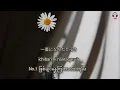 世界に一つだけの花 - SMAP (Myanmar Sub)