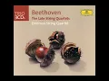 Beethoven: String Quartet No. 14 in C-Sharp Minor, Op. 131: I. Adagio ma non troppo e molto...