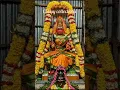 Download Lagu Amman 🌿🌿#devotionalhits🙏🙏 #amman songs🪔🪔 மாயி மகமாயி மணி மந்திர சேகரியே 🙏🙏