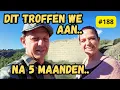 Lagu Na 5 Maanden Terug op Onze Finca… Zo Troffen We Alles Aan in Spanje 😳🌿 #188