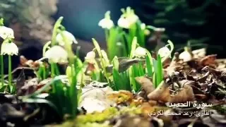 سورة الحديد القارئ رعد محمد الكردي أجمل تلاوة قد تسمعها في حياتك دندنها