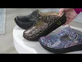 Alegria Slip-On Clogs - Classic on QVC