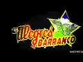 China de los ojos Negros ~ Los Alegres del Barranco Tololoche