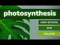 Photosynthesis Review at 3 Levels High School AP Biology College