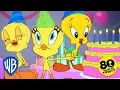 Download Lagu Looney Tunes | Happy Birthday Tweety!💛🎂 | @WB Kids