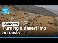 Download Lagu Turning a desert into an oasis: Maroccan scientists transform fog into drinking water • FRANCE 24