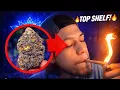 2026 APPROVED Super Lemon Runtz Strain Review Is It Really That Good